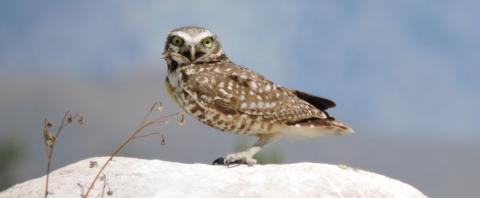 whasssup!! by Jeremy Heminger